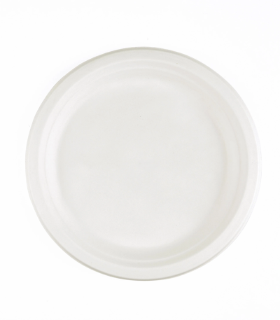 BAGASSE 10INCH